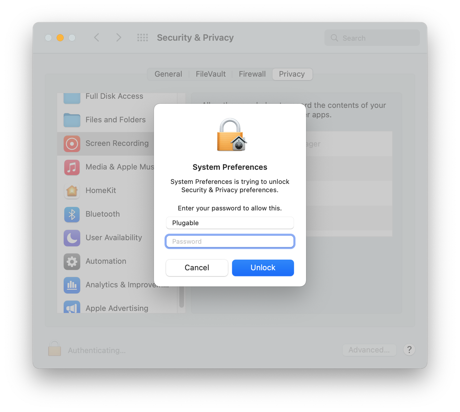 DisplayLink Manager App Installation Instructions for macOS 11 or macOS