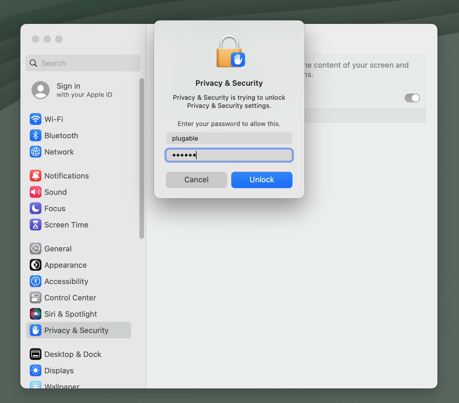 macos privacy and security application
