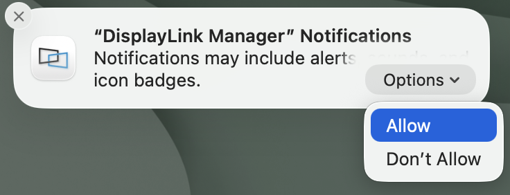 displaylink manager notifications options allow selected