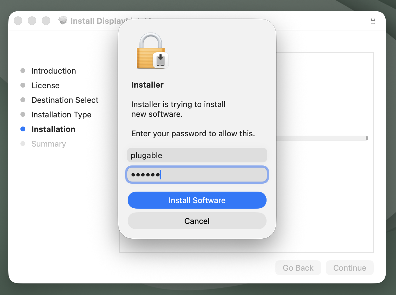 dlm_16_1_install_wizard_password_prompt_filled_in