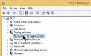 Device Manager Display adapters section expanded