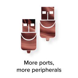 Infographic: artistic representation of two USB Standard-A male ends with text 'More ports, more peripherals'