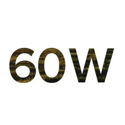60W