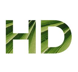 Image indicating that the Plugable HDMI Adapter is capable of HD resolutions