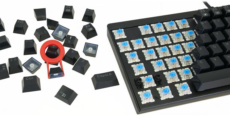 keyboard switches shown with keycaps removed