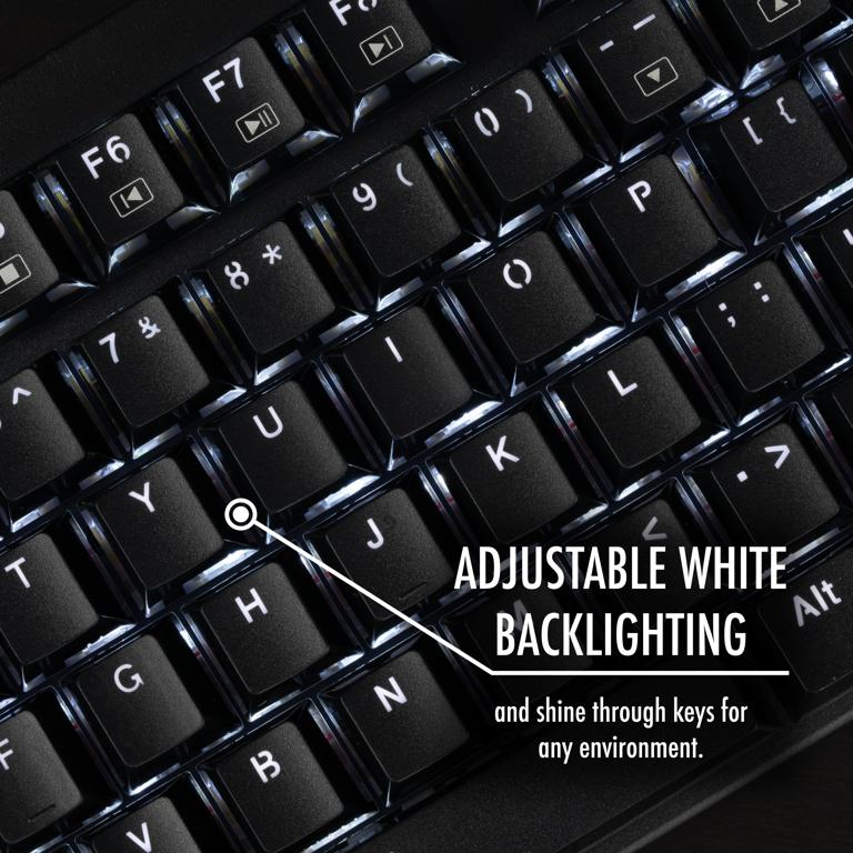 adjustible white backlighting